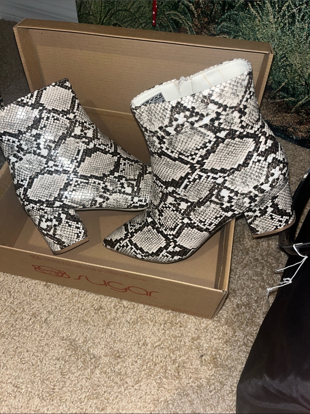 Sugar Black & White Snake-Print Pointed Toe Ankle Boots